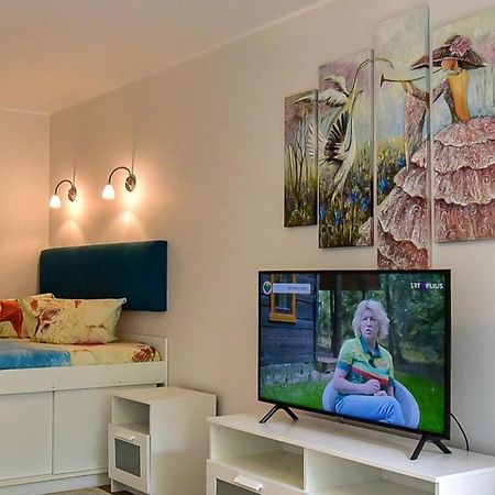 Stilingi Apartamentai Su Virtuve Traku Miesto Centre Trakai Extérieur photo