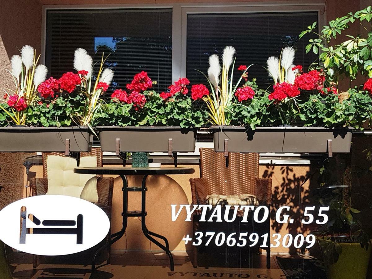 Stilingi Apartamentai Su Virtuve Traku Miesto Centre Trakai Extérieur photo